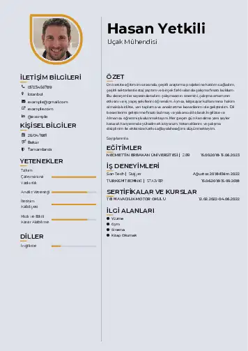 Havacılık Ve Uzay Uçak Mühendisi Cv Örnekleri cv indir